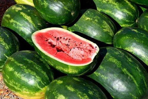 国产精品吃瓜视频免费,免费畅享欢乐时光  第3张