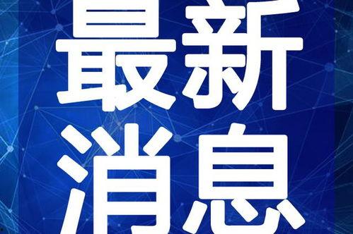 新闻爆料假药案例最新视频,视频曝光惊人内幕