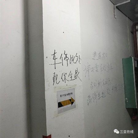 三亚网友爆料新闻,惊现神秘事件，揭秘背后真相！  第3张