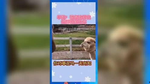娱乐吃瓜群众分享,揭秘明星幕后故事  第2张