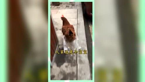 娱乐吃瓜群众分享,揭秘明星幕后故事  第3张