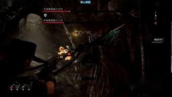 爆料杰尔乔维奇视频,揭秘背后惊人真相  第3张