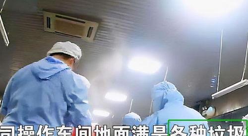 天津学生配餐爆料视频,揭露校园食品安全疑云  第3张