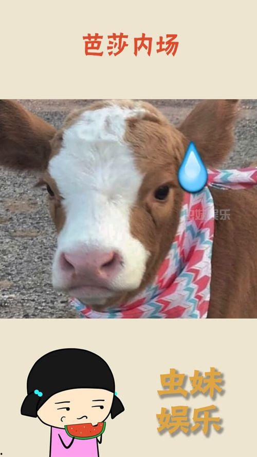 娱乐吃瓜酱鼻塞,揭秘明星们的健康小秘密  第1张