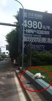 今日自贡大爆料,揭秘今日热点事件背后的真相  第1张